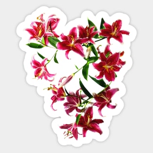 Stargazer Lilies Heart Sticker